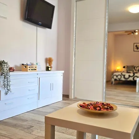 Apartment Acogedor Estudio En El Centro De